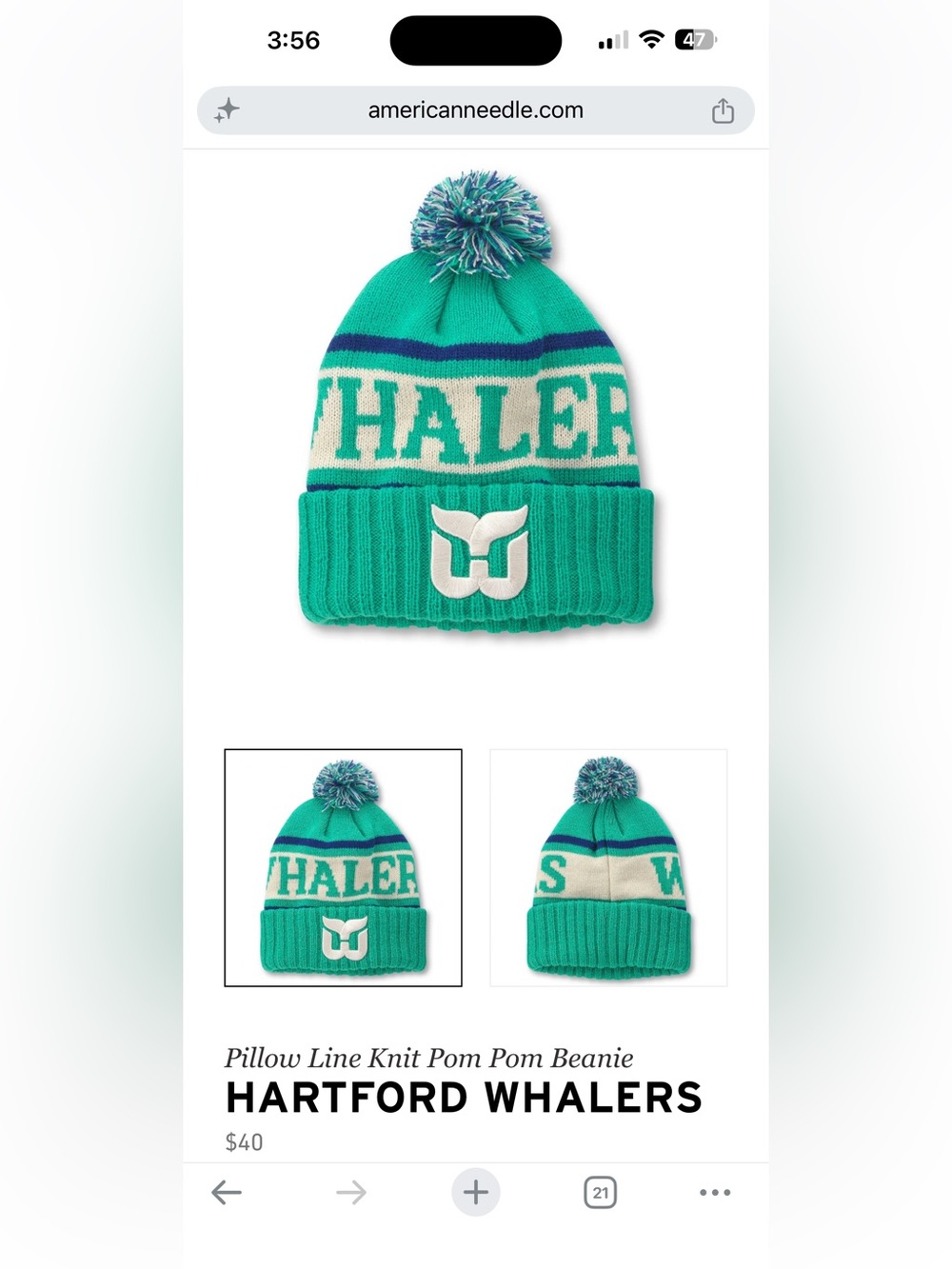 American Needle Hartford Whalers Vintage Hockey Pom Beanie Green & Blue-Like NEW